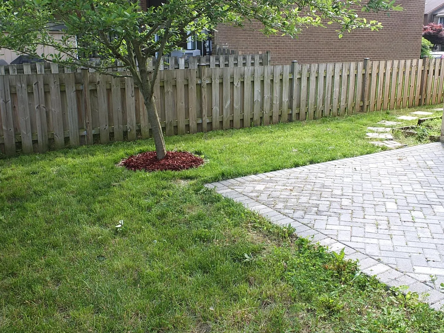 3 bed, 1370 sqft, $2,500 — Photo 4