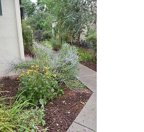 4th image of 411 N Wahsatch Ave