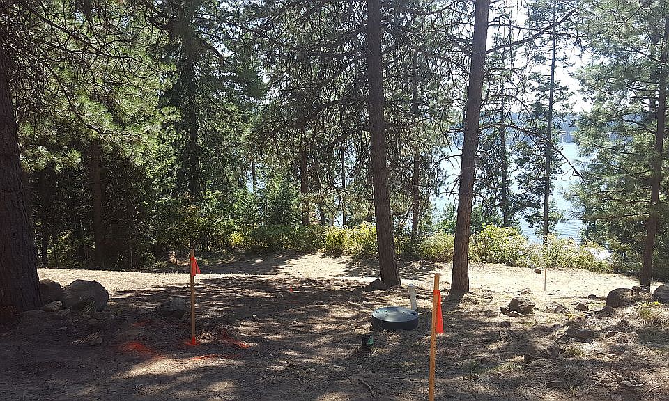 Septic, drainfield and water