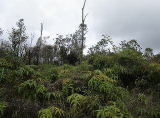 11-2397 Kokokahi Rd LOT 22, Volcano, HI 96785
