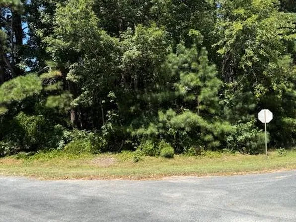 LOT 111 Davey Jones Blvd #1111, Greenbackville, VA 23356