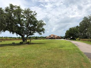 10529 Walter Hunter Rd, Lithia, FL 33547