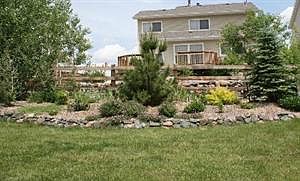 Backyard in the spring