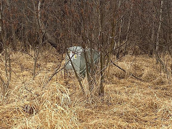 5th image of ON Shauger Road