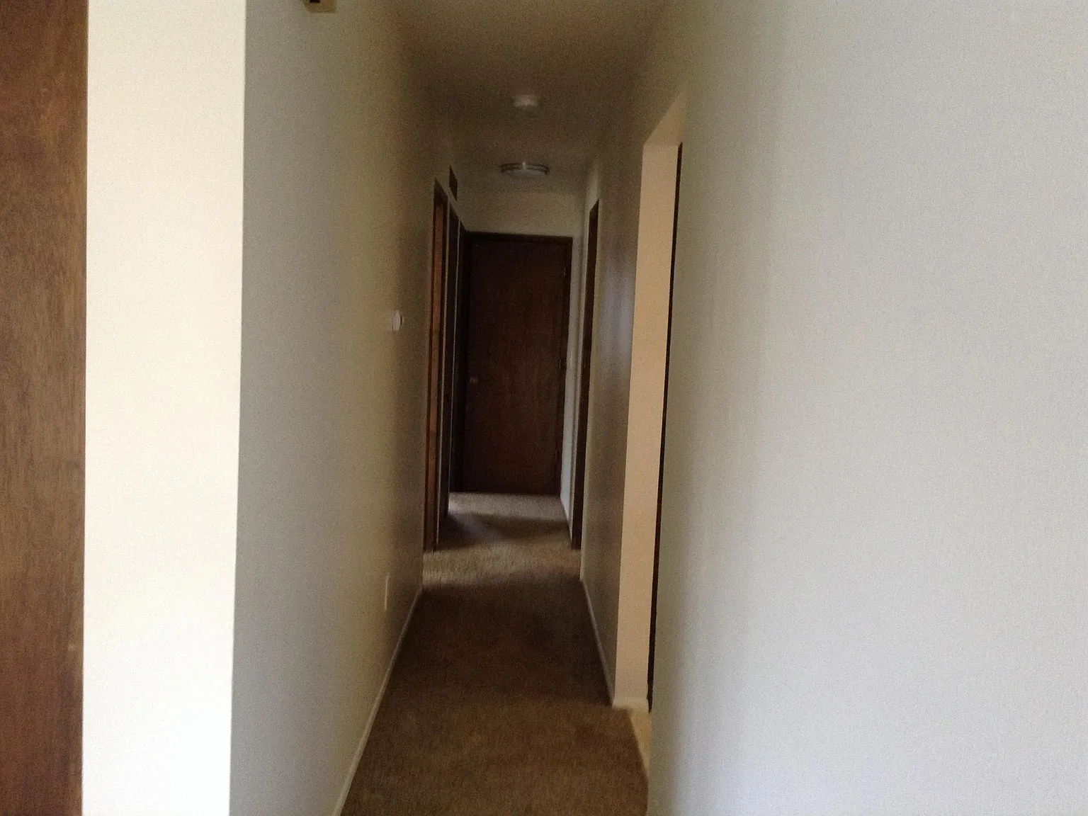 5271 Meade St — Photo 3