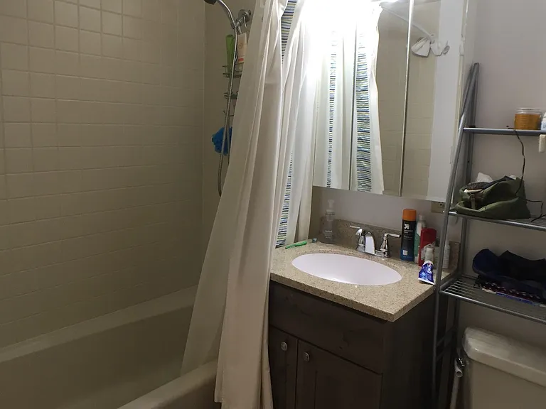 443 W Eugenie St #1E — Photo 18