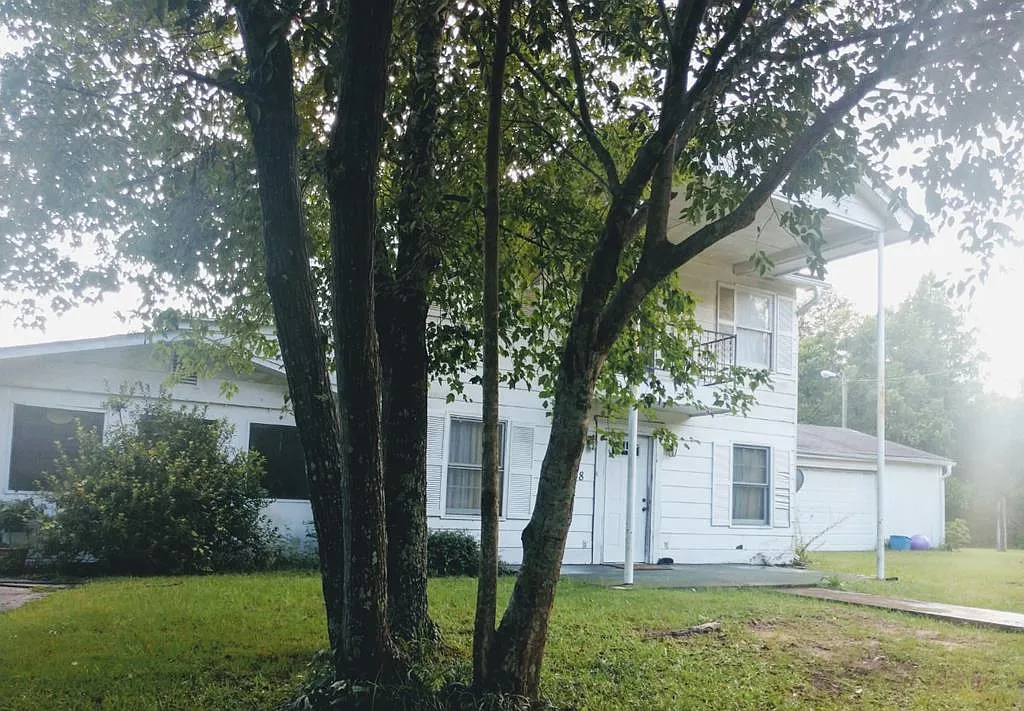 198 Albert Owens St photo 1