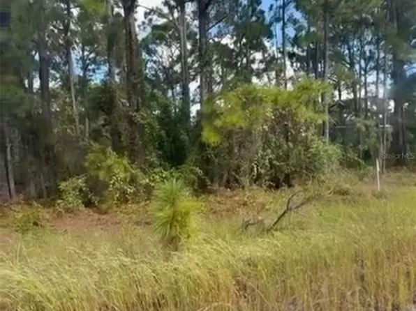 334 Sun Ct Lot 4, Lake Placid, FL 33852