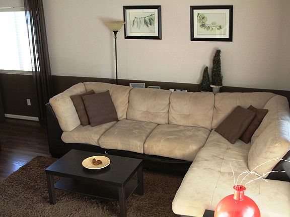 cozy living room