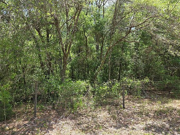 5th image of 11953 N GLENVIEW AVENUE LOT 2
