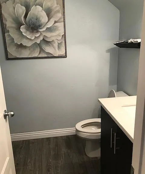28100 Calle Lumina — Photo 10