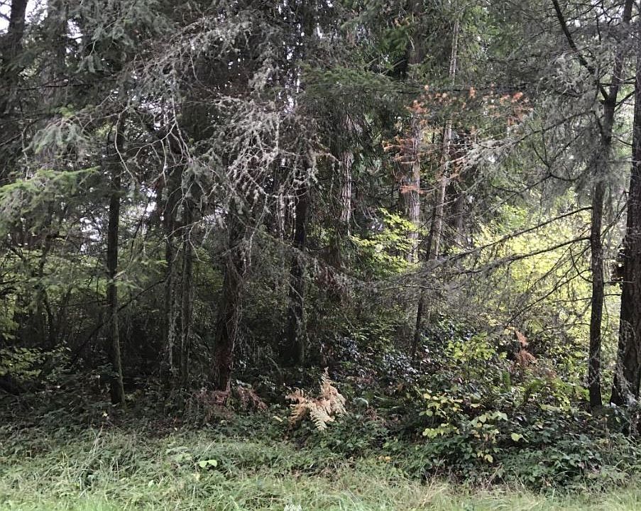 1st image of 11408 Tillicum Drive