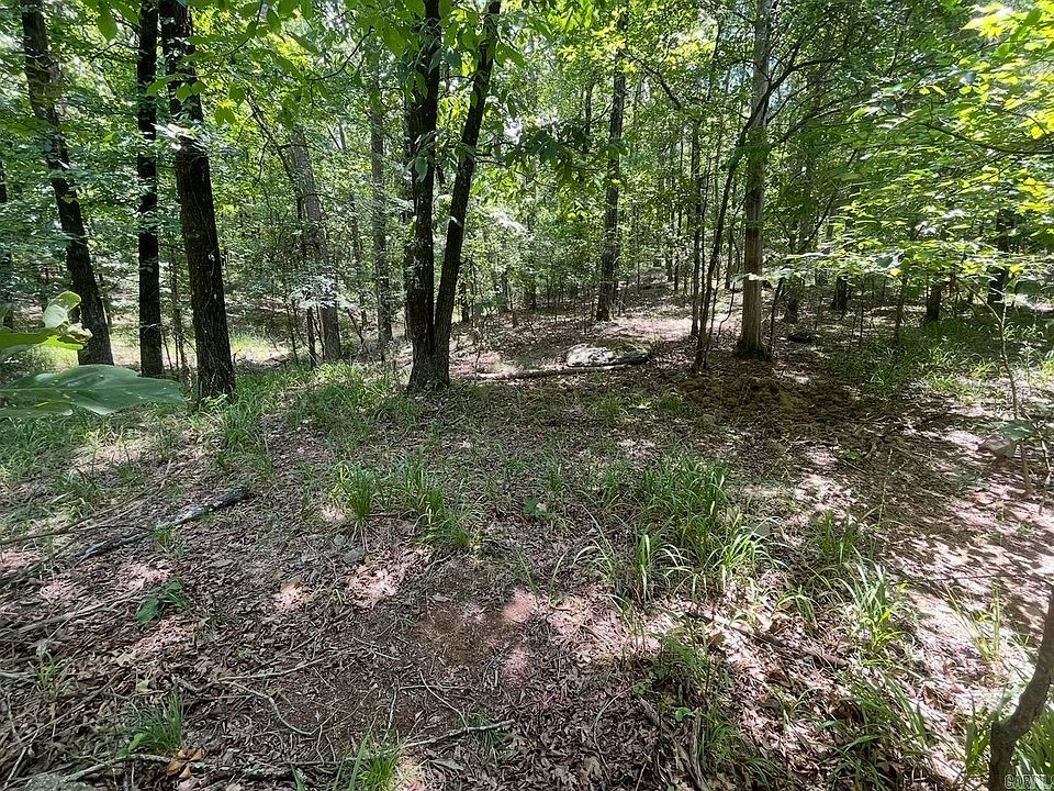2nd image of LOT 37 Saratoga St