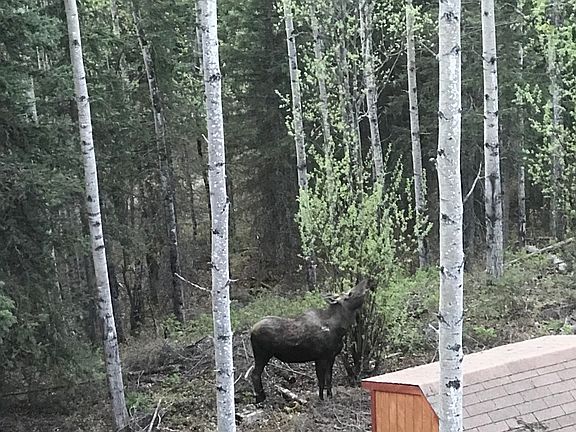 2nd image of 20460 Driftwood Bay Dr