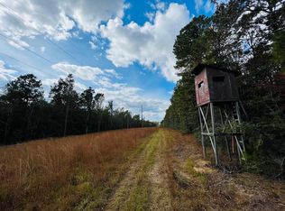 1 Anse Reed Rd, Mendenhall, MS 39114