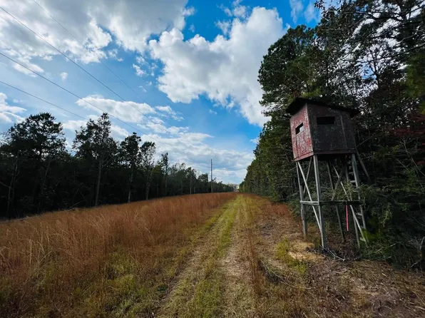 1 Anse Reed Rd, Mendenhall, MS 39114