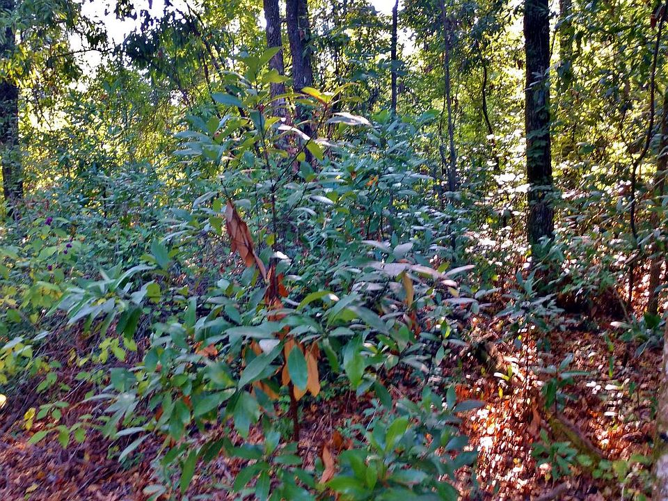 1st image of Tbd Sw Newark Dr.