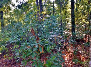 Tbd Sw Newark Dr., Ft. White, FL 32038