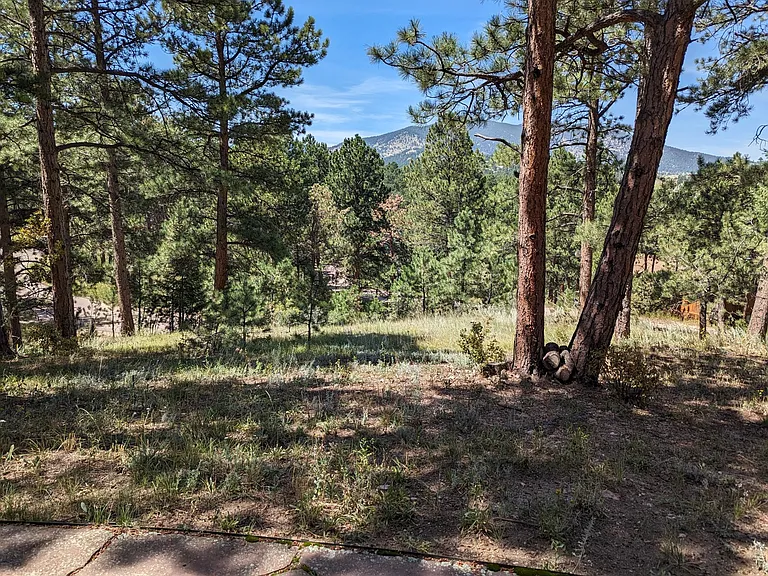 Looking towards the road and Bergen Peak