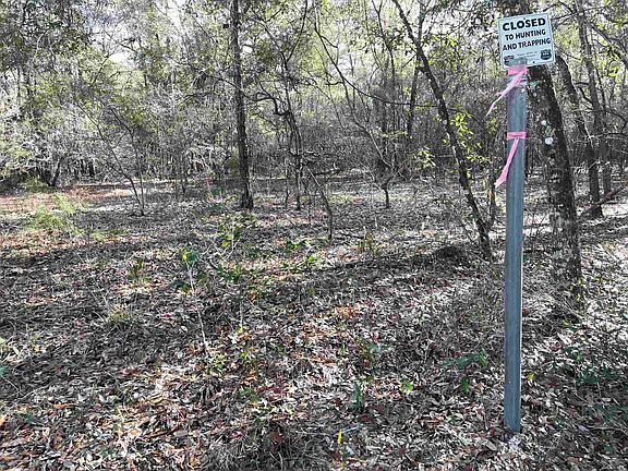 4th image of Coe Landing Rd