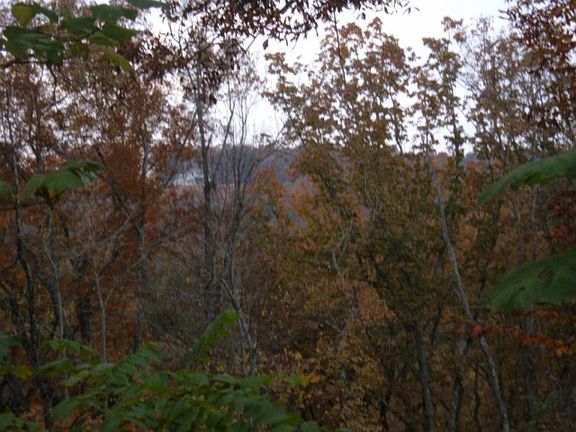 5th image of 2247 Duck Cove Dr