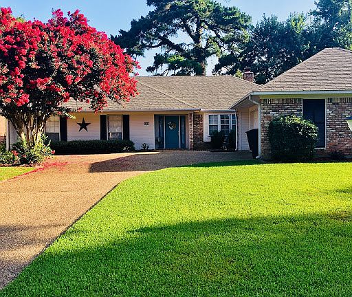 Front yard