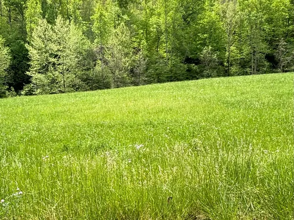 Smith Creek Rd, West Liberty, KY 41472