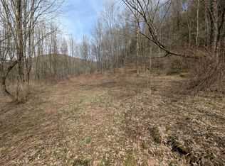 1 Park Hill Rd, Downsville, NY 13755