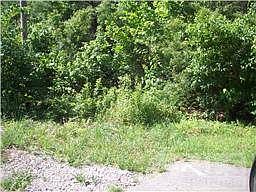 1st image of Curtis Dr