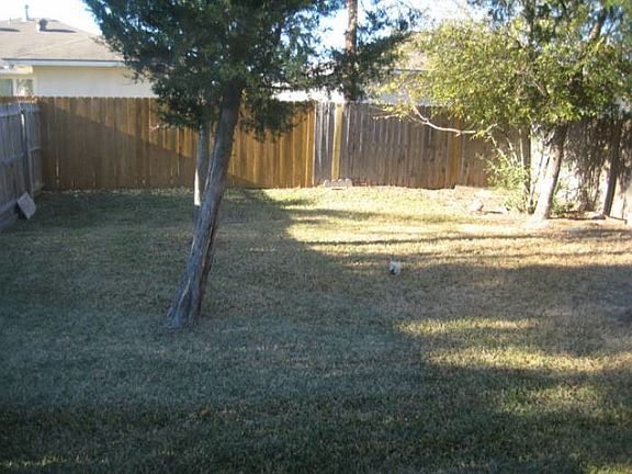 View of Back Yard