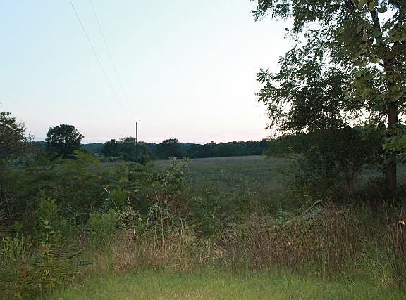 5th image of 1349 Parker Ave
