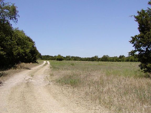 Ready to walk alittle~~enjoy what you see!