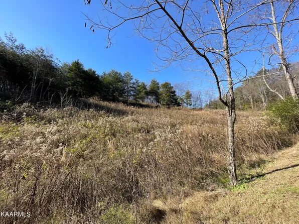 1846 Saddle Way #2-3, Sevierville, TN 37876