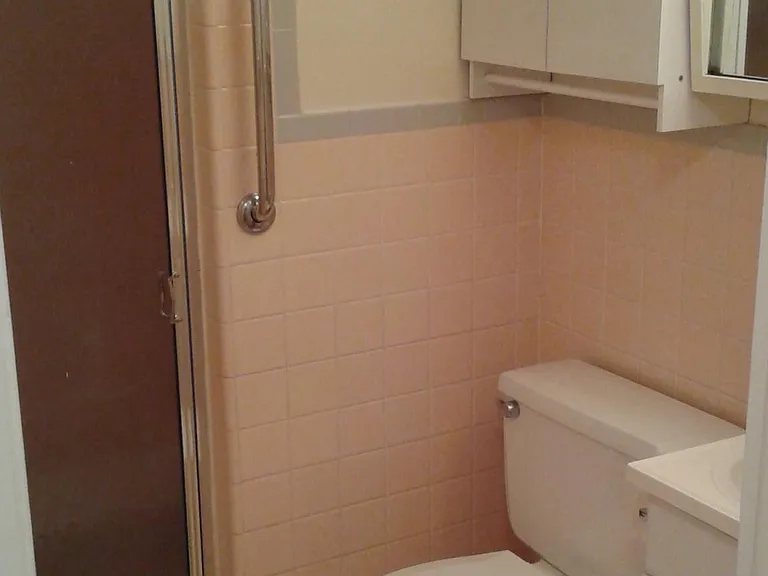Hall bath, shower