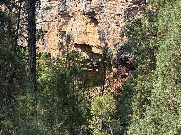 3rd image of 26094 Dewey Rd