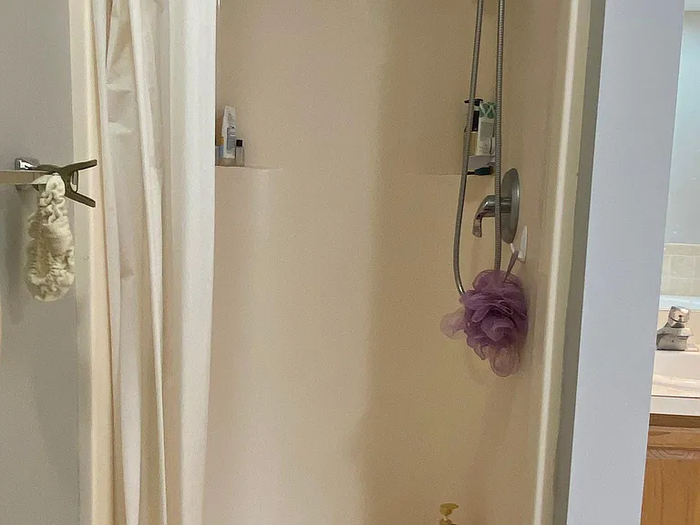 Master suite shower