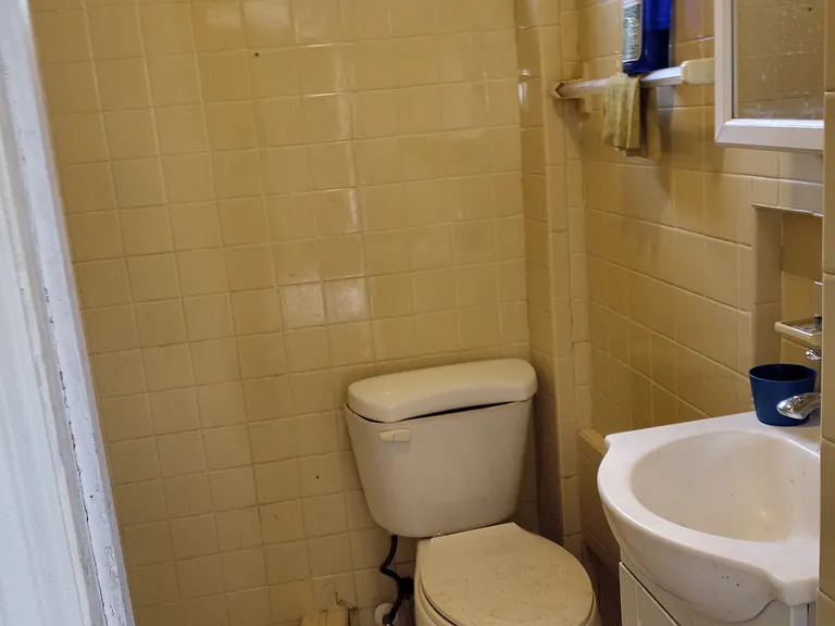 In-Law Suite/Garage Apartment Bathroom