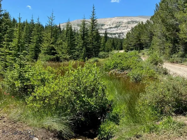 10393 Trapper Creek Rd, Melrose, MT 59743