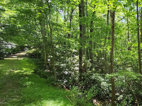 LOT 16 Misty Dawn Trl, Fancy Gap, VA 24328