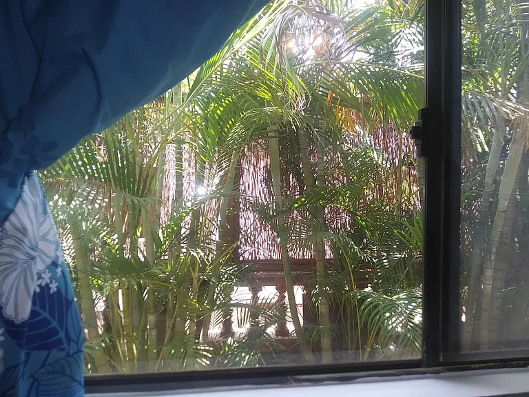 Privacy out your Palm filled view. (Double block out curtains).