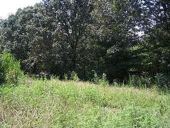 2nd image of 105 Catfish Ln
