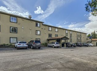 301 N French St #207, Breckenridge, CO 80424