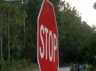 41 Frog Hill Rd, Freeport, FL 32439