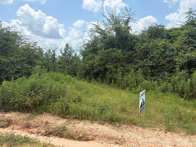 2nd image of 0 Pond Creek Rd #3