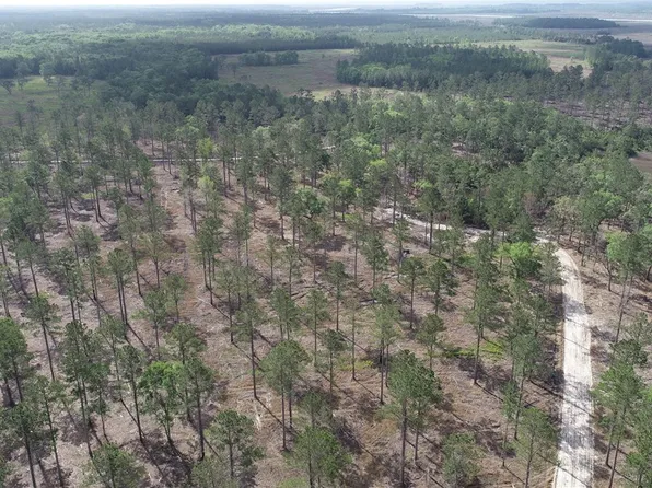 3009 Horse Stamp Church Rd, Waverly, GA 31565