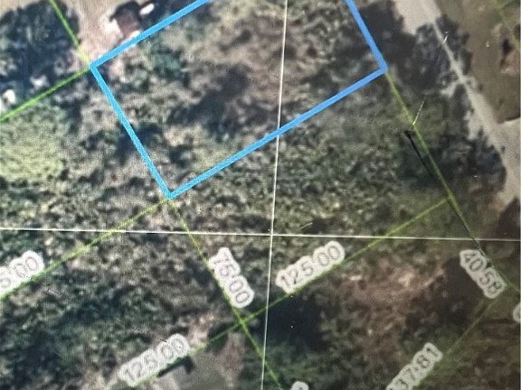 5th image of 1548 Tamah Blvd