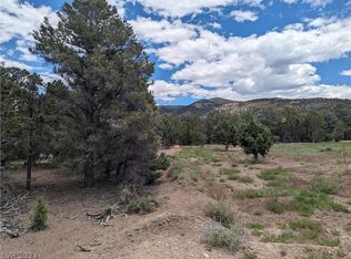 20548 Rice Rd, Pioche, NV 89043