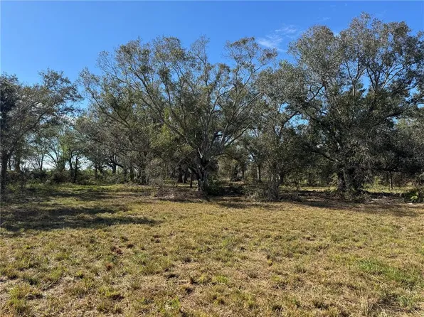 4816 SE RYE AVENUE LOT 39, ARCADIA, FL 34266