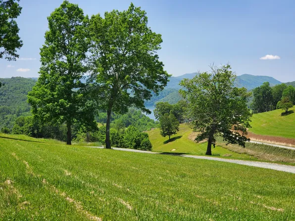 44 Starry Night Ct, Butler, TN 37640