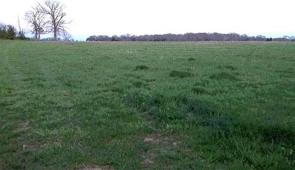 2nd image of 0 Palmetto Mt